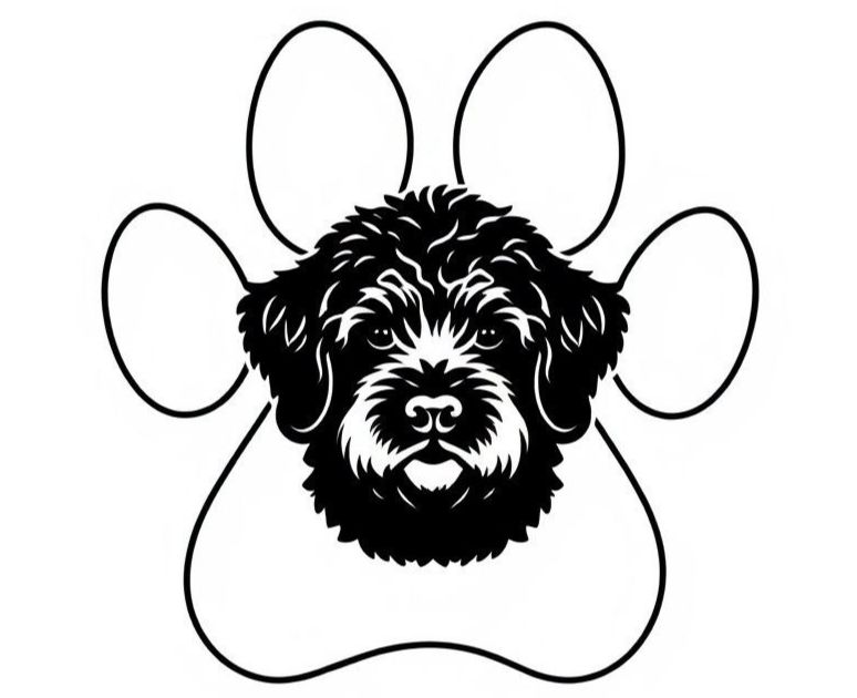 Hundesitting-Schelbert